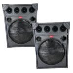 Cajones ibys 15" - 300W