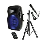 CAJON AMPLIFICADO 15" AUDIOPIPE DJAP-1567A-CMB
